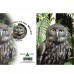 MAGNE GREETING CARD Wisdom Owl